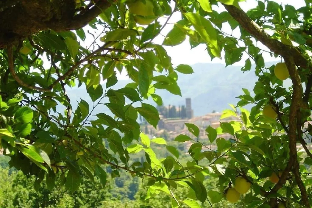Σπίτι διακοπών Villa Trivium Barga
